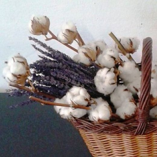 Cistella amb Cotó i Lavanda