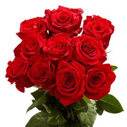 Cesta de Mimbre con Rosas y Osito de Peluche San Valentín