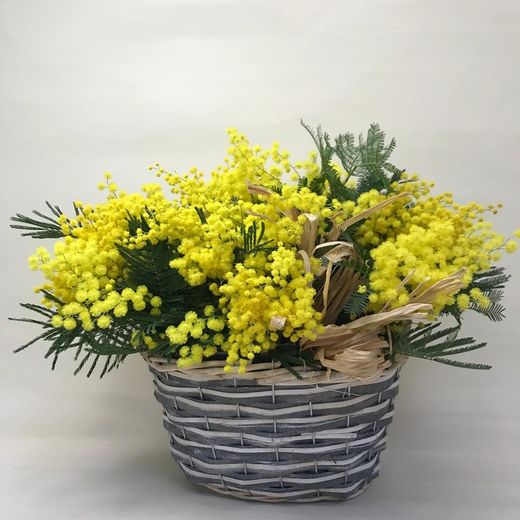 Cesta Mimbre Mimosa