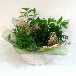 Cesta de plantas aromáticas