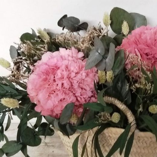 Cistella Preservada Hivernal