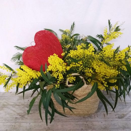 Cesta Romántica Mimosa