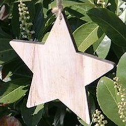 PINGENTE ESTRELA MADEIRA NATURAL