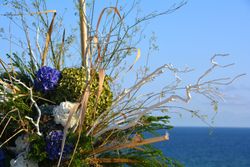 composició Principal