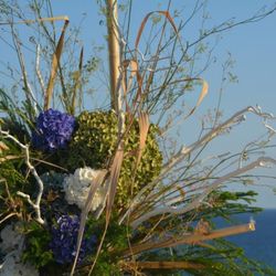 composició Principal