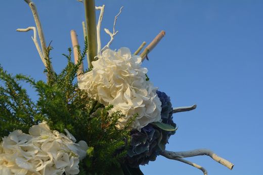 composició Principal