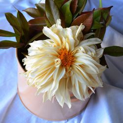 Composició Tendra picardia