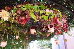 Composició Veles per al capvespre