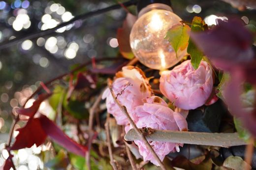 Composició Veles per al capvespre