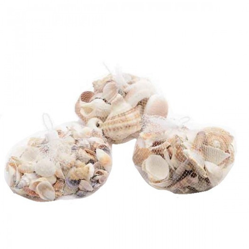 Surtido de caracoles y conchas de mar, diferentes tamaños hasta 2 pulgadas,  bolsa de 50 conchas de mar