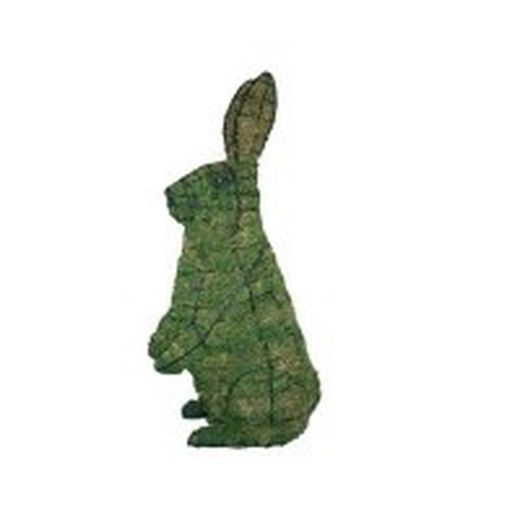 Coelhos