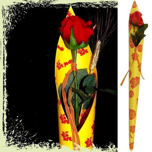 Con Rosa Sant Jordi PVC