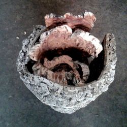 Corcho 2,5 Kg