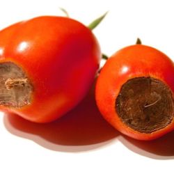 Correcteur de points noirs à la tomate