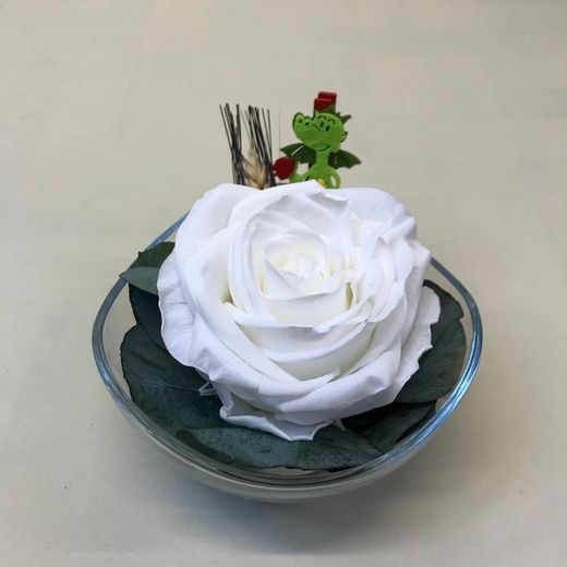 Cristal con Rosa Preservada Premium Sant Jordi