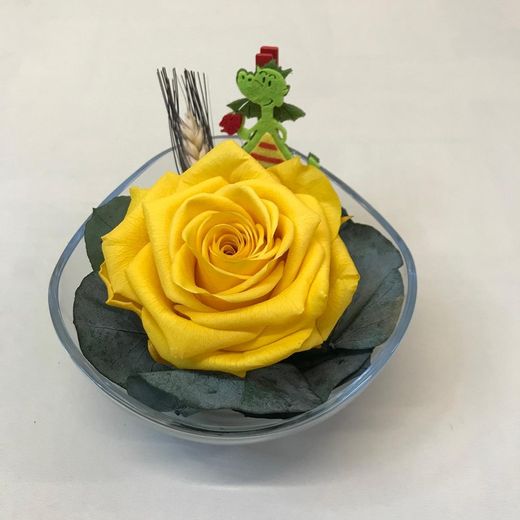Cristal con Rosa Preservada Premium Sant Jordi