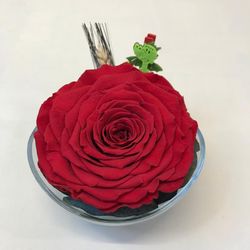 Cristal con Rosa Preservada Premium Sant Jordi