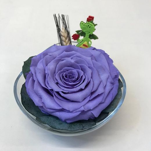 Cristal con Rosa Preservada Premium Sant Jordi