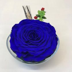 Cristal con Rosa Preservada Premium Sant Jordi