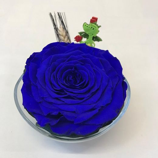 Cristal con Rosa Preservada Premium Sant Jordi