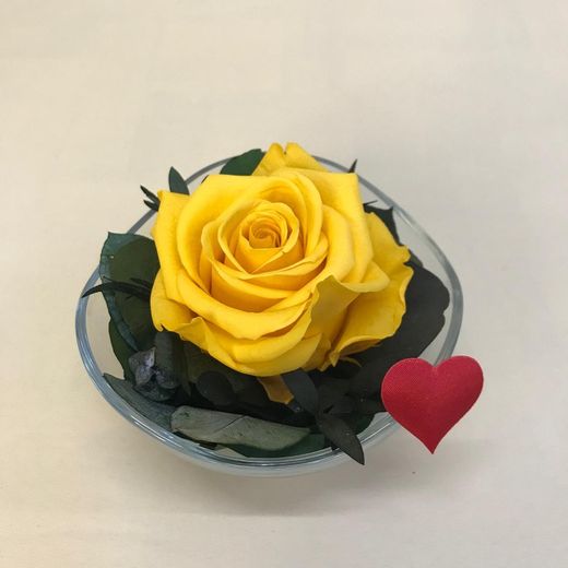 Cristal avec roses préservées de première qualité