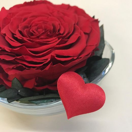 Cristal avec roses préservées de première qualité