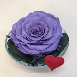 Cristal avec roses préservées de première qualité
