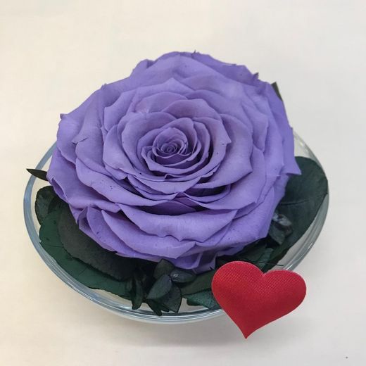 Cristal avec roses préservées de première qualité