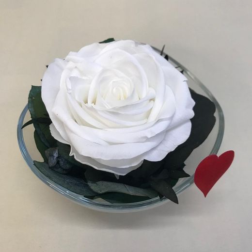 Cristal avec roses préservées de première qualité