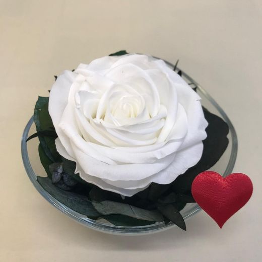 Cristal avec roses préservées de première qualité