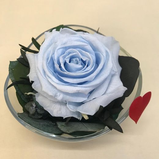 Cristal avec roses préservées de première qualité
