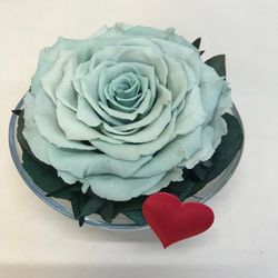 Cristal avec roses préservées de première qualité