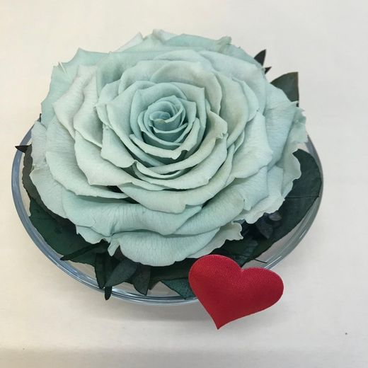 Cristal avec roses préservées de première qualité