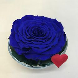 Cristal avec roses préservées de première qualité