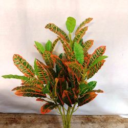 Croton Artificial