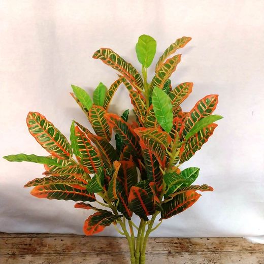 Croton Artificial