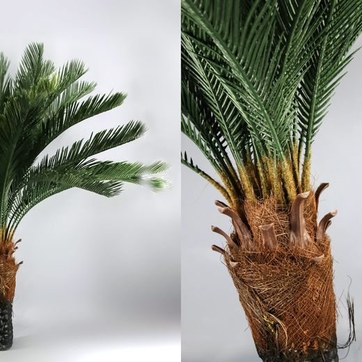 Cyca Revoluta Ignifuga Artificial