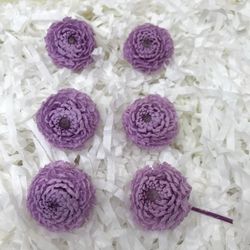Dalias S Preservadas Caja 5 uds.