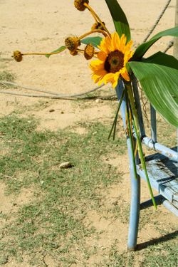 Detall cadires, Al teu costat