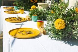 Distribució taula Petites companyies