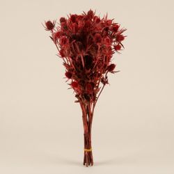 Eryngium Preservat 10 tiges