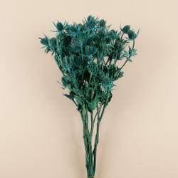 Eryngium Preservat 10 tiges
