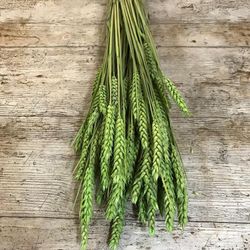 Espigues de Blat Natural seques 100 espigues