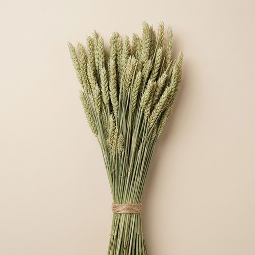 Épis de blé naturels séchés 100 épis