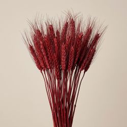 Espigas trigo natural secas con pelos