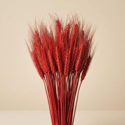 Espigas trigo natural secas con pelos