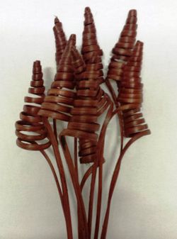 Spirales de canne (CaneCone)