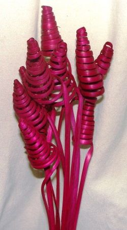 Spirales de canne (CaneCone)