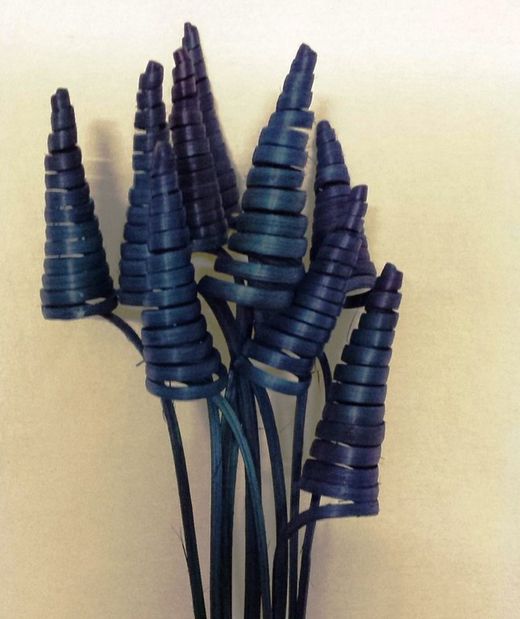 Spirales de canne (CaneCone)