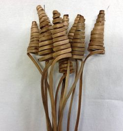 Spirales de canne (CaneCone)